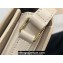 Celine BESACE CLEA BAG in Shiny calfskin 110413 PAMPA