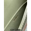 Celine BESACE CLEA BAG in Shiny calfskin 110413 Green