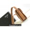 Celine BESACE CLEA BAG in Shiny calfskin 110413 Brown
