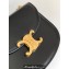 Celine CHAIN BESACE CLEA BAG in Shiny calfskin 110413 Black/Gold