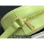 Celine OVAL BAG CUIR TRIOMPHE in SMOOTH CALFSKIN 198603 Light Green