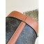 Celine SMALL BUCKET CUIR TRIOMPHE Bag in TRIOMPHE Canvas and Calfskin Tan 198243