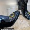 Dior Heel 8.5cm C'est Ankle Boots in Calfskin Patent Black 2023