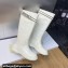 Dior D-Racer Boots in Calfskin White 2023