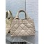 Dior Medium Toujours Bag in Macrocannage Calfskin Beige 2023