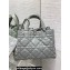 Dior Medium Toujours Bag in Macrocannage Calfskin Gray 2023