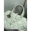 Dior Medium Toujours Bag in Macrocannage Calfskin White 2023