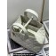 Dior Medium Toujours Bag in Macrocannage Calfskin White 2023