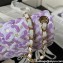Chanel Purple/White Sequins Mini Classic Flap bag A01115 2023