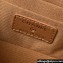 Chanel Grained Shiny Calfskin Clutch with Chain Bag AP3017 Brown 2023