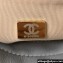 Chanel Shiny Crumpled Calfskin Small Hobo Bag AS4323 Gray 2023