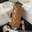 Chanel Shiny Crumpled Calfskin Small Hobo Bag AS4323 Brown 2023