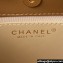 Chanel Shiny Crumpled Calfskin Small Hobo Bag AS4323 Brown 2023