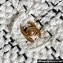 Chanel Shopping Bag in Raffia Effect Braided Tweed AS3786 White 2023
