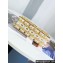 Chanel Pearl Evening Bag in Golden-Tone Metal AS4076 2023