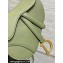 Dior Mini Saddle Bag with Strap in Grained Calfskin Ethereal Green 2023