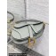 Dior Mini Saddle Bag with Strap in Grained Calfskin Olive Green 2023