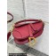 Dior Mini Saddle Bag with Strap in Grained Calfskin Red 2023