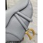 Dior Saddle Bag with Strap in Grained Calfskin Gray 2023