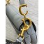 Dior Saddle Bag with Strap in Grained Calfskin Gray 2023