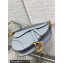 Dior Saddle Bag with Strap in Grained Calfskin Gray 2023