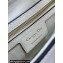 Dior Saddle Bag with Strap in Grained Calfskin White 2023