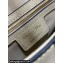 Dior Saddle Bag with Strap in Grained Calfskin Beige 2023
