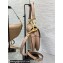 Dior Saddle Bag with Strap in Grained Calfskin Nude Pink 2023