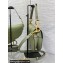 Dior Saddle Bag with Strap in Grained Calfskin Ethereal Green 2023