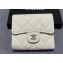Chanel Classic Small Flap Wallet AP0231 in Grained Calfskin White/Silver