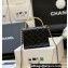 Chanel Mini Handle Clutch Bag with Chain AP2945 Black 2023 (ORIGINAL QUALITY)