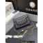 Chanel Lambskin Wallet on Chain WOC Bag AP1450 Black 2023 (ORIGINAL QUALITY)