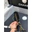 Chanel Lambskin Wallet on Chain WOC Bag AP1450 Black 2023 (ORIGINAL QUALITY)
