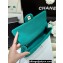 Chanel Wool Jersey & Gold-Tone Metal Clutch Bag AS4199 Green 2023 (ORIGINAL QUALITY)