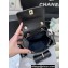 Chanel Grained Shiny Calfskin Small Backpack Bag AS4399 Black 2023 (ORIGINAL QUALITY)
