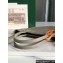 Goyard Poitiers Claire-Voie Mini Bag Green