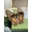 Gucci Wool Fur 2015 Re-Edition women's Princetown Slipper with Horsebit 397749 Jumbo GG Canvas Camel 2023