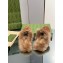 Gucci Wool Fur 2015 Re-Edition women's Princetown Slipper with Horsebit 397749 Suede Brown 2023