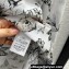 Dior Flared Mid-Length Shirt in White and Pastel Pink Cotton Voile with Toile de Jouy Mexico Motif 2023