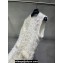 Chanel Fringe White Dress 2023