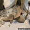 Christian Louboutin 5.5cm Study 55 Low boots leather CL26 Calfskin Camel 2023