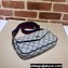 Gucci Ophidia mini bag 764961 GG Canvas Beige/Blue 2024