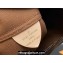 Louis Vuitton Monogram Canvas Atlantis BB Bag M46816 2023
