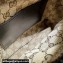 Gucci Shoulder bag with tonal Double G 725696 Leather Black 2023