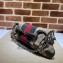 Gucci Horsebit Chain medium shoulder bag 764255 Beige and ebony Original GG canvas