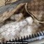 Gucci Small duffle bag with tonal Double G 725701 Leather Gray 2023
