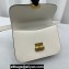 Miu Miu Leather shoulder bag 5BD254 White 2023