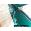 Goyard Okinawa Sac Marie Galante MM Tote bag Green