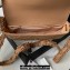 Chanel Crinkled Calfskin Clutch with Chain Bag AP3570 Brown 2023