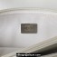 Chanel 19 Shiny Lambskin Wallet On Chain WOC Bag AP3267 White/Silver 2023